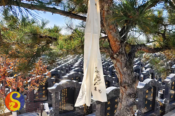 沈阳公墓生态葬与传统土葬：如何根据个人价值观做出选择？