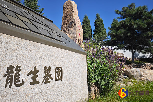 沈阳墓地传统墓与艺术墓在设计风格上有何异同？