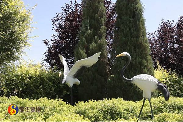 沈阳树葬公墓:价格实惠、环保节地的新选择? 沈阳树葬公墓:价格实惠、环保节地的新选择?