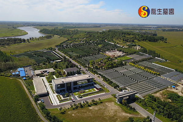 沈阳墓园玉石骨灰盒为什么比实木便宜?适合哪些家庭选择? 沈阳墓园玉石骨灰盒为什么比实木便宜?适合哪些家庭选择?