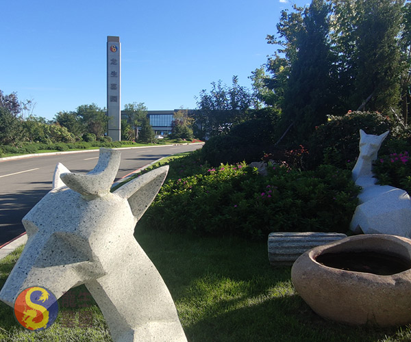 沈阳公墓后设计草坪好吗？风水与实用建议