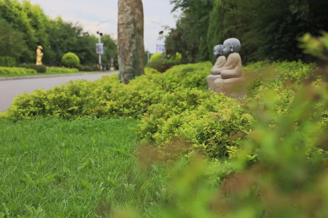 沈阳陵园龙生墓园官方与春相约，拥抱绿色健康，打造最美清明！