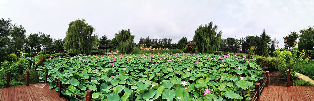 沈阳墓园龙生自然景观