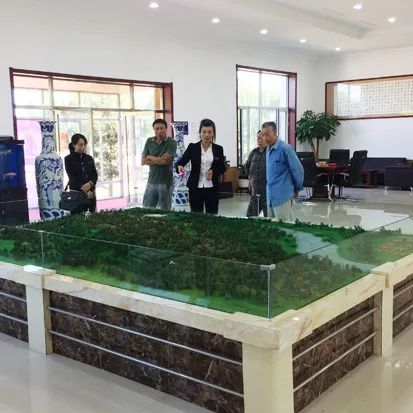 元旦喜迎新，龙生忆去岁，展今朝，未来可期，沈阳墓园365天为爱守护！