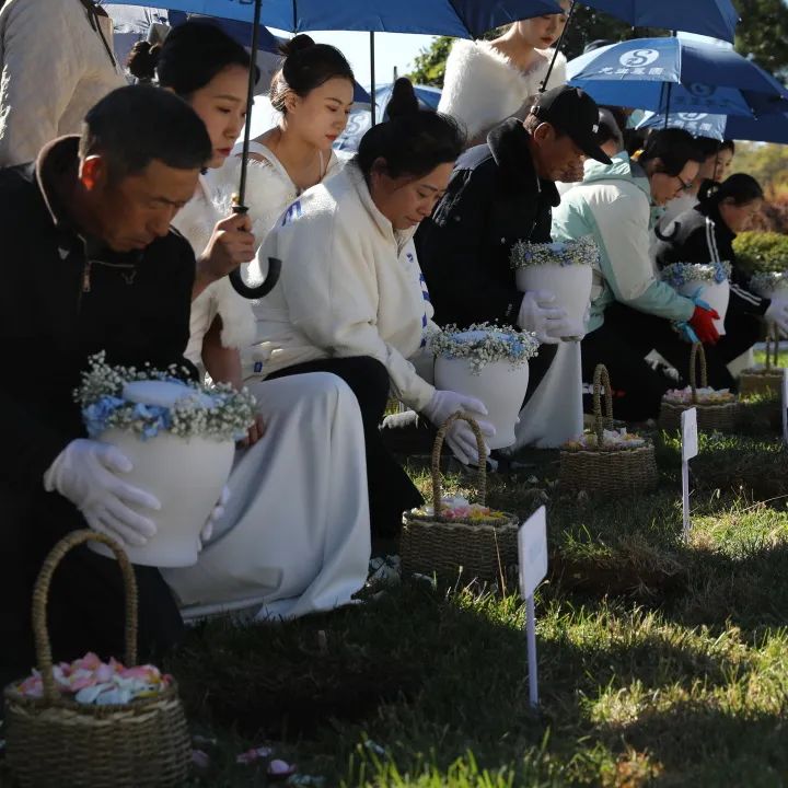 元旦喜迎新，龙生忆去岁，展今朝，未来可期，沈阳墓园365天为爱守护！