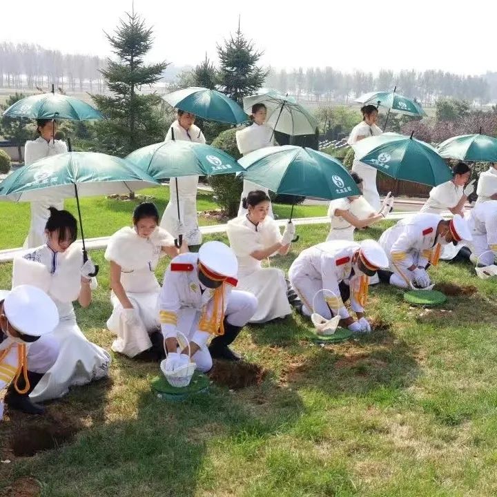 元旦喜迎新，龙生忆去岁，展今朝，未来可期，沈阳墓园365天为爱守护！