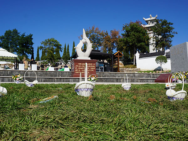 大雪节气与生命的延续：沈阳公墓陵园墓地行业象征着生命的不屈力量
