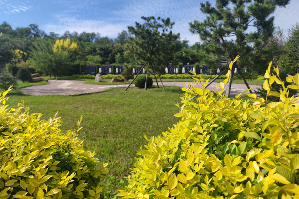 沈阳墓园墓地价格行情如何，有哪些因素会影响墓地价格？