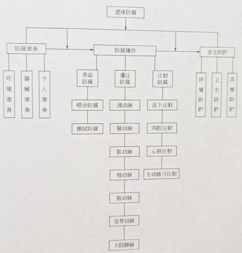 遗体防腐服务流程