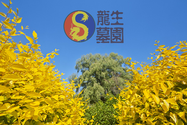 沈阳陵园网络祭祀要求