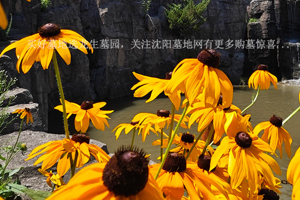 沈阳陵园举办墓园讲师人才工作培训班