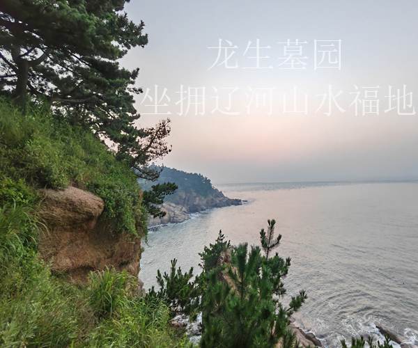 沈阳墓园行业不断完善公墓管理员人才培养、使用、评价、激励体系，全力推动殡葬人才工作取得新成效！