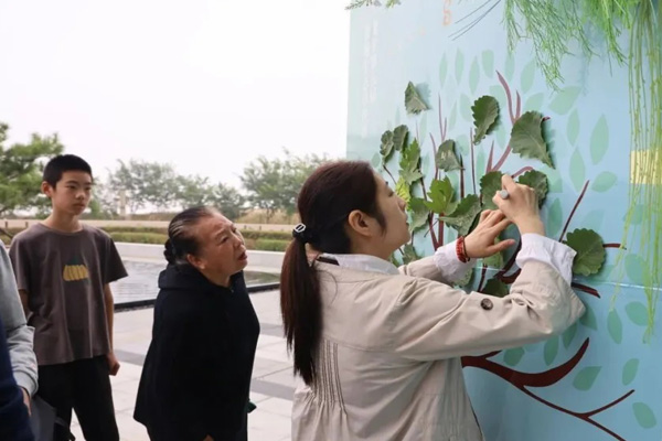 沈阳墓园生命树绽放龙生人文纪念园，永续生命与爱的传承