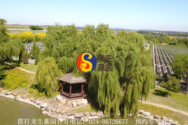 拨打龙生墓园官方电话：024-86726677　预约专车看墓