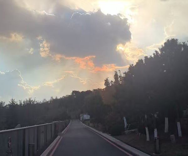 沈阳陵园 沈阳陵园