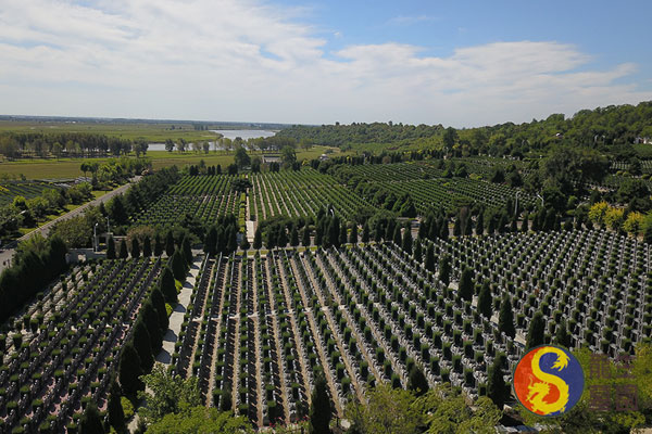 沈阳墓园性价比与综合龙生墓园实力全解析 沈阳墓园性价比与综合龙生墓园实力全解析
