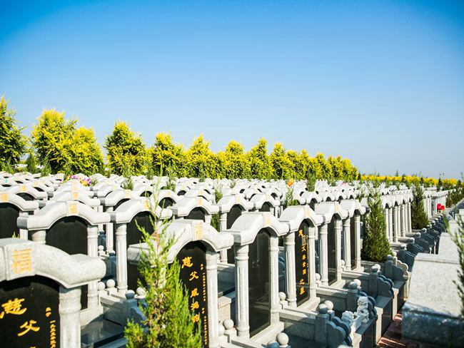 春之绿意满园(图1)
